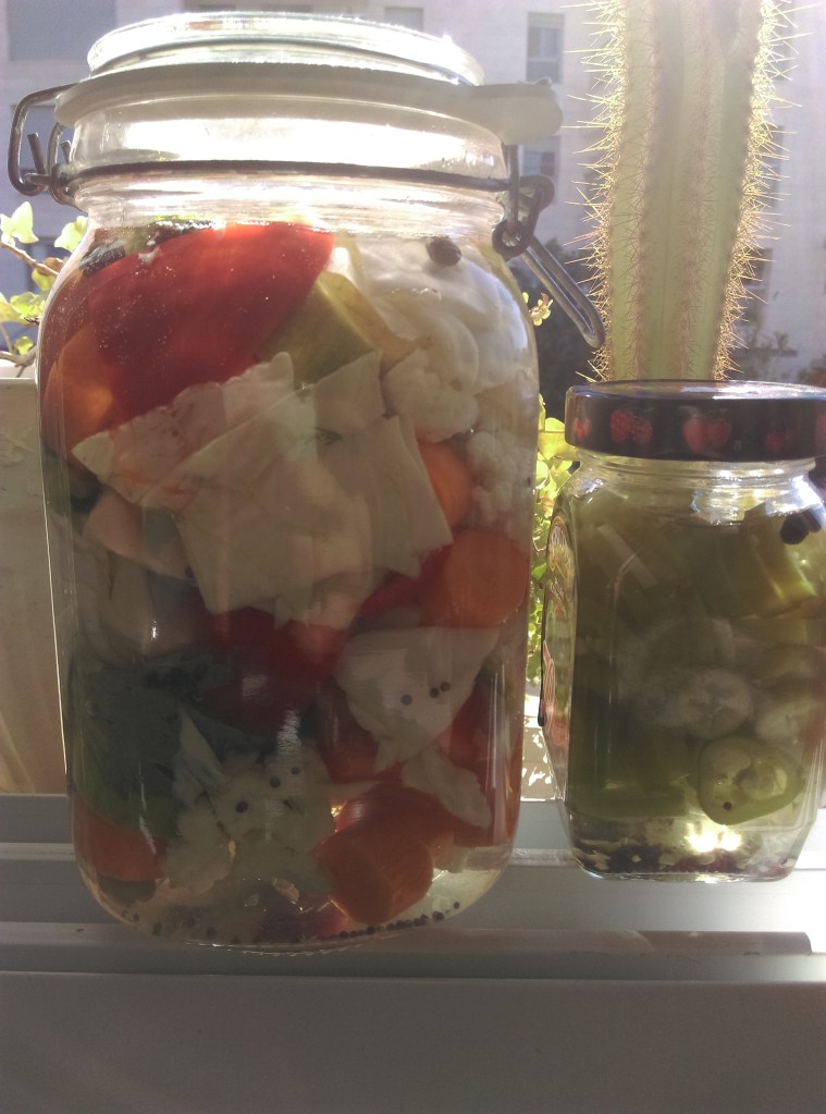 חסר מאפיין alt לתמונה הזו; שם הקובץ הוא imag0809.jpg